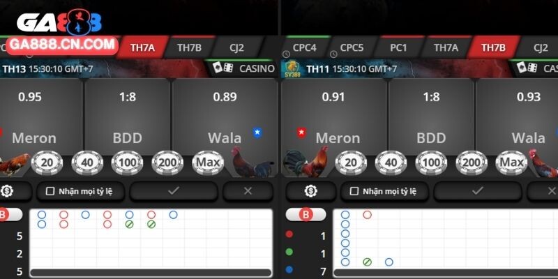 Các hình thức cá cược đấu gà nổi bật nhất 