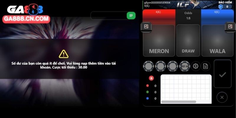 Điểm hấp dẫn tạo nên trường đấu gà kịch tính