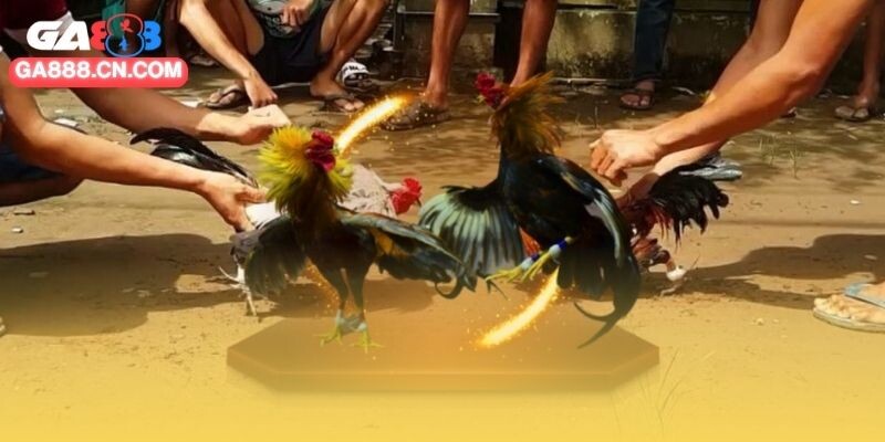 Sảnh cung cấp chế độ lưu trữ video cũ