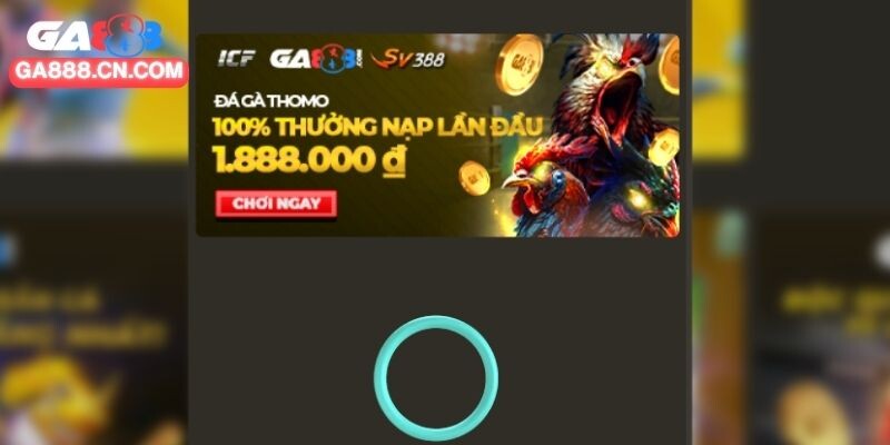 Các chú ý cho thành viên nạp tiền cá cược